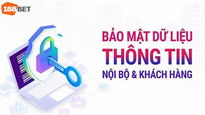 Nha-cai-cam-ket-chi-thu-thap-thong-tin-can-thiet-cua-nguoi-choi-de-cung-cap-dich-vu